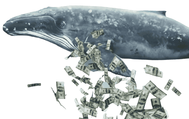 Как получить богатых вебкам клиентов (вебкам киты)